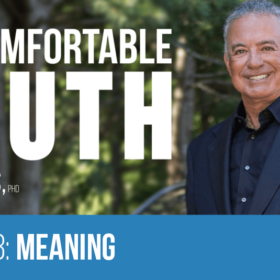 Episode 153: Meaning - Alan Weiss