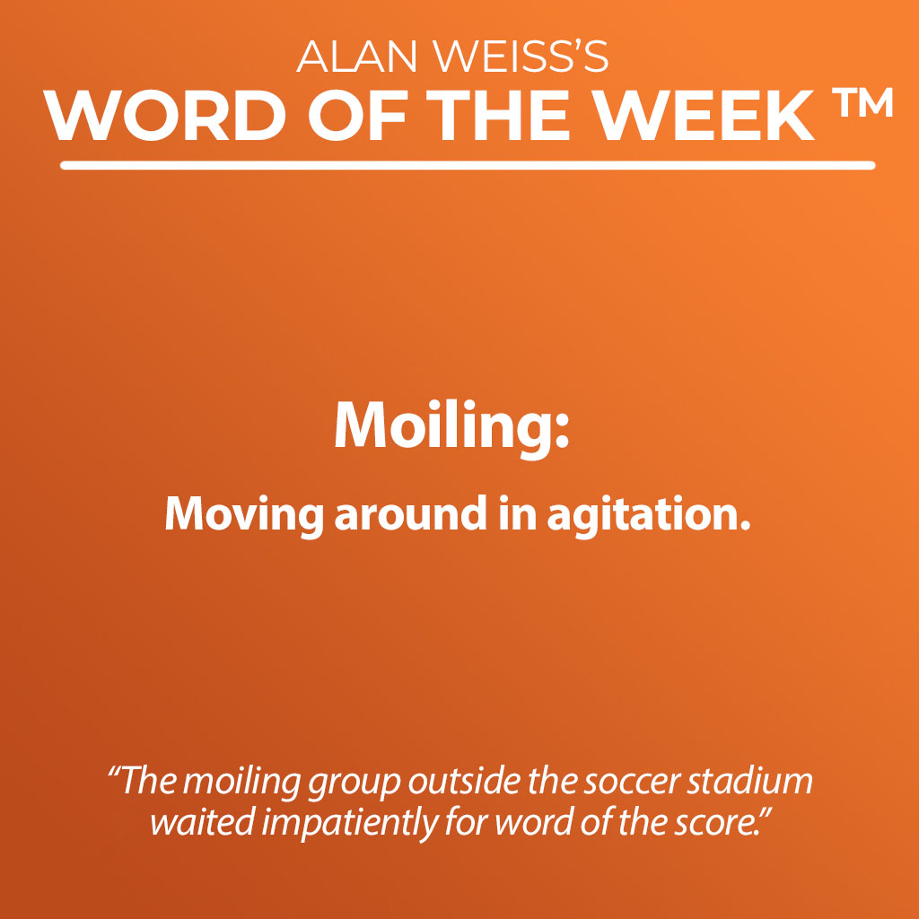 Word Of The Week - Moiling 